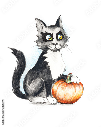 Black and white cat with a pumpkin