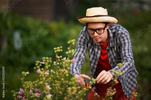 Young guy gardener in straw hat cut the bushes