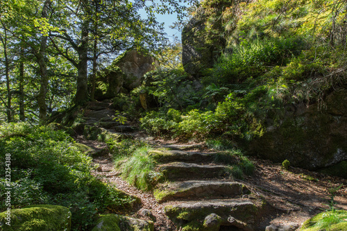 Wanderweg mit Steinstufen auf dem Falkenfelsen; Schwarzwald, Sommer