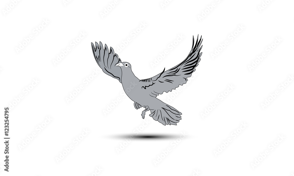 flying pigeons to the sky flying pigeons to the sky