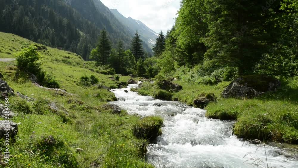 wild stream at Zillertal valley Schwarzachtal (Austria, Tirol) wild stream at Zillertal valley Schwarzachtal (Austria, Tirol)
