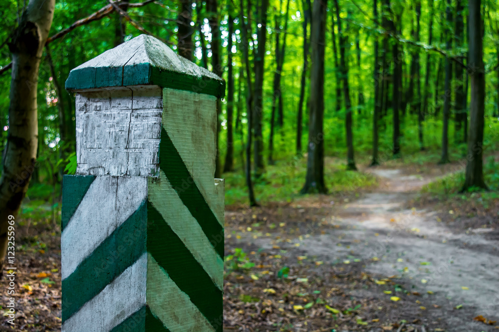 Photo of an old boundary post in a green forest