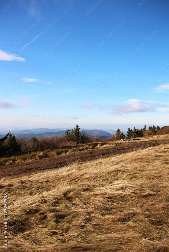 Obraz premium Pustevny, Beskydy mountains