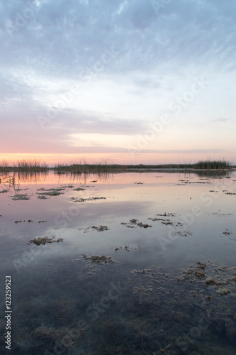 Fototapeta Naklejka Na Ścianę i Meble -  beautiful sunrise of the sun on the lake