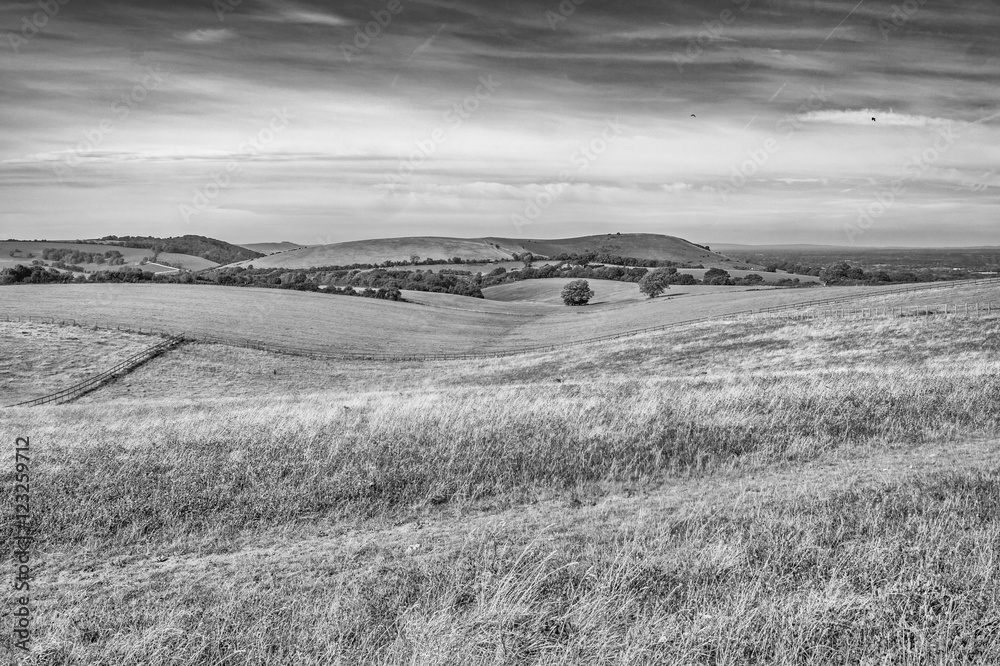 The Sussex Downs in Autumn B&W