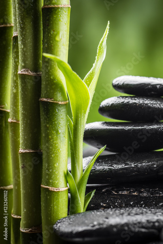 still life with zen basalt stones and bamboo © Pavel Timofeev