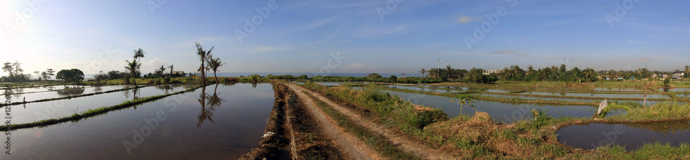 Empty rice paddy fields fresh with water Panorama Empty rice paddy fields fresh with water Panorama