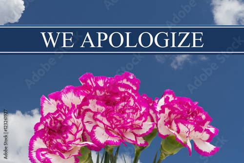 We Apologize message with a Pink and White Peony Bouquet