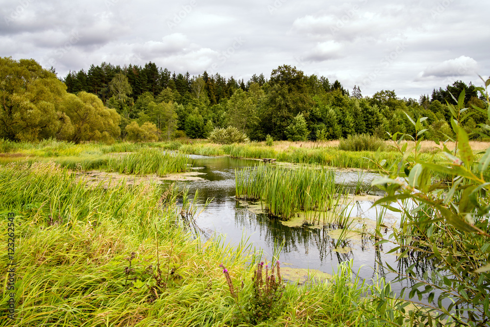autumn landscape with river and forest in Belarus autumn landscape with river and forest in Belarus