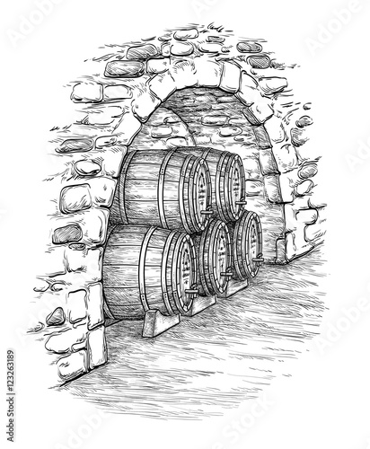 Vector illustration of wine cellar.