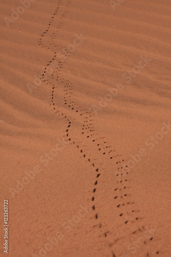 Sand   Dunes