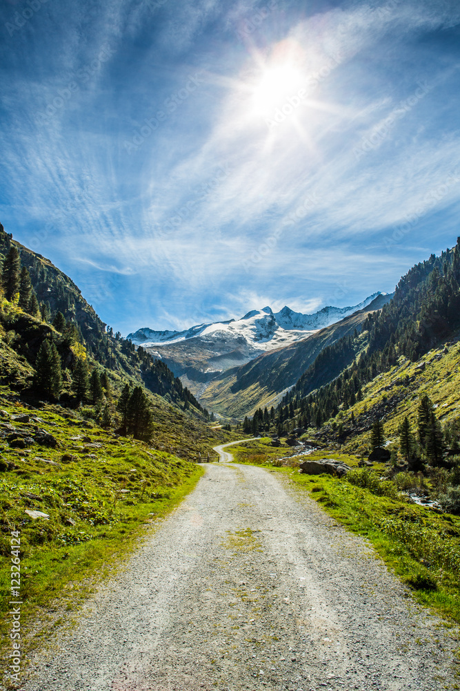 Fototapeta premium Zillertal Alps in Austria