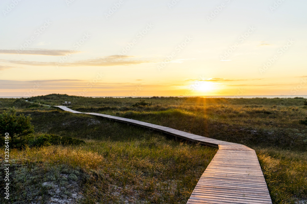 Wandern auf dem Darß