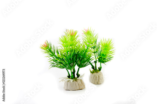 green trees in a row isolated white background.
