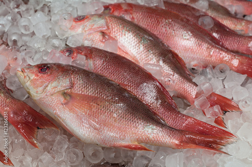 Obraz na plátně Fresh red snappers arranged on crushed ice at a San Pedro fish market in Southern California