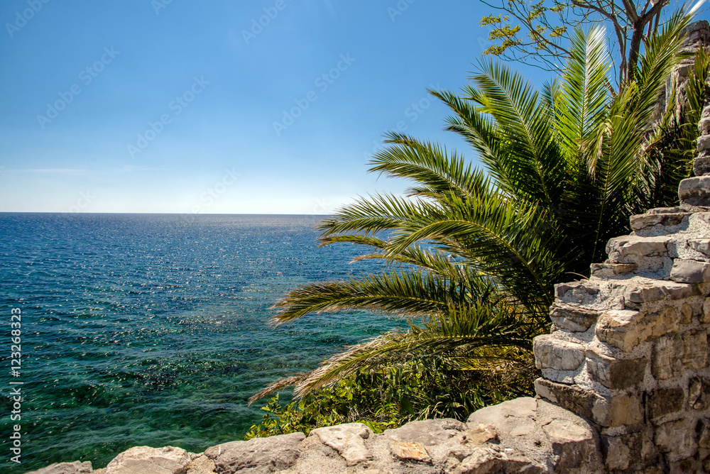 landscape with a palm tree and a fortification on the Adriatic Sea landscape with a palm tree and a fortification on the Adriatic Sea