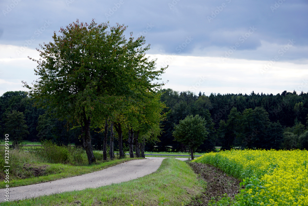 Wanderweg Wanderweg