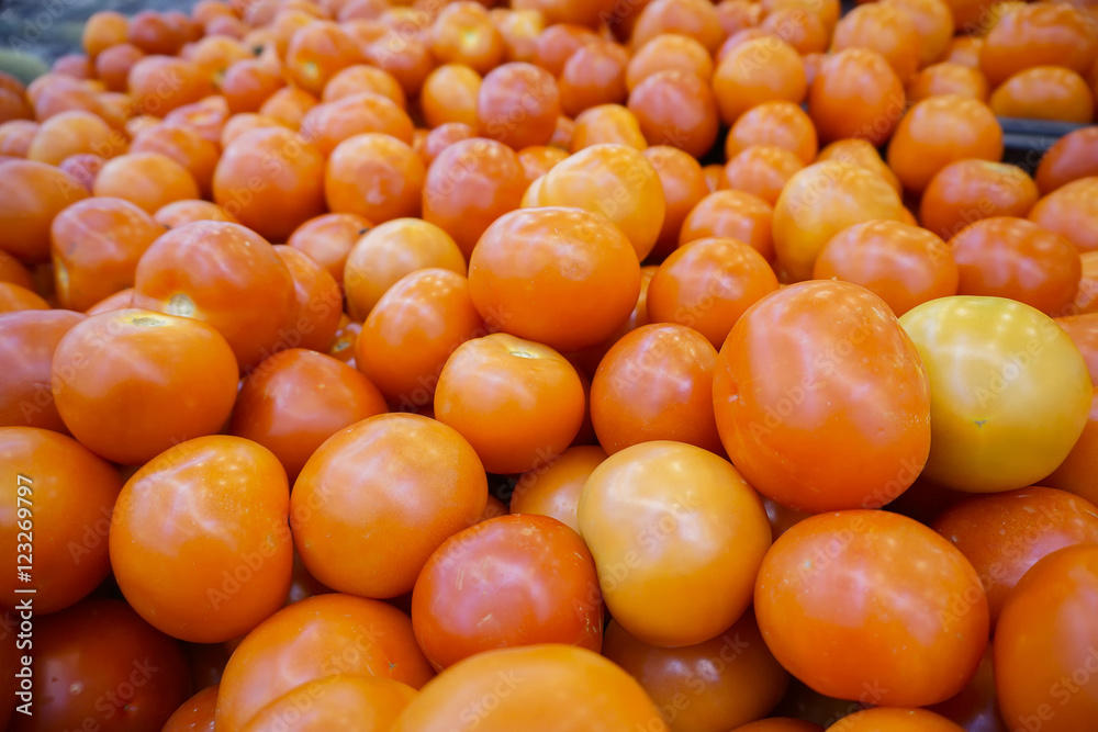 red tomatoes background. Group of tomatoes.