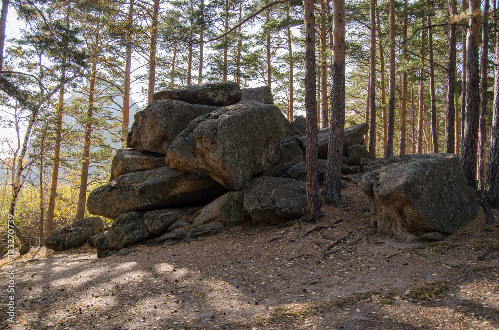A pile of stones in the pine forest. A pile of stones in the pine forest.