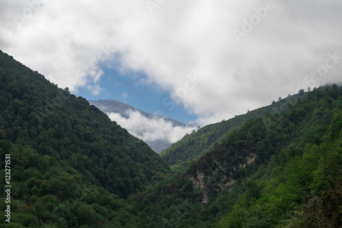 Hyrcania Forest  Mazandaran  Iran