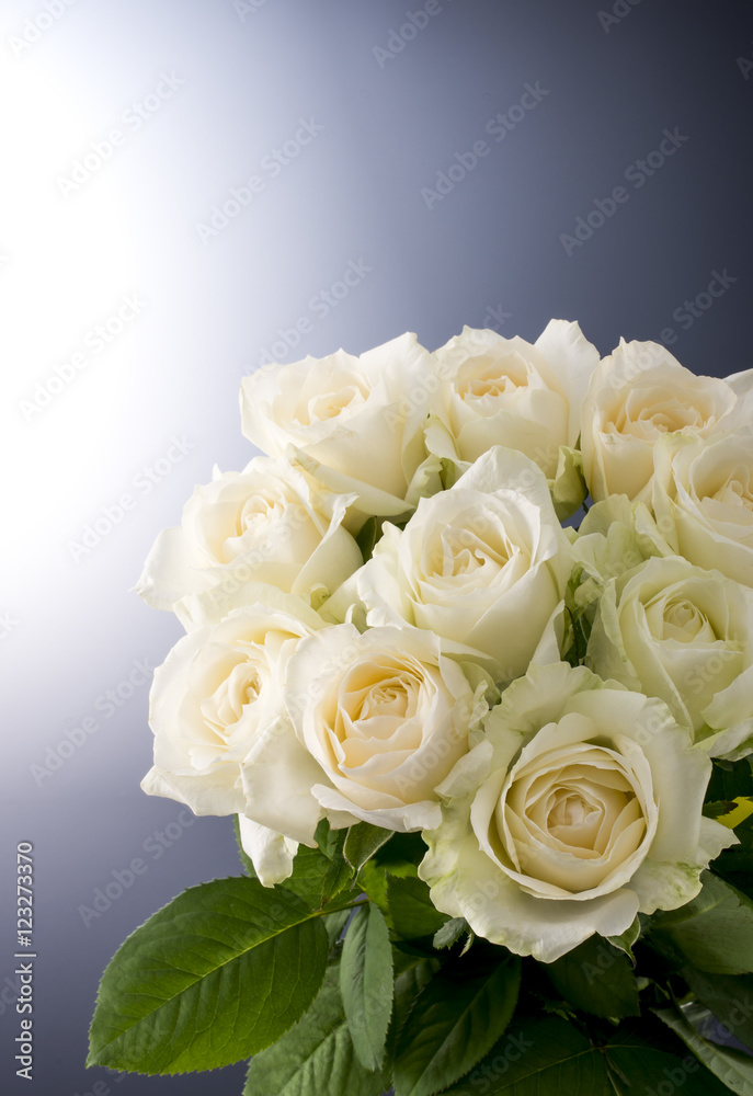 薔薇 薔薇