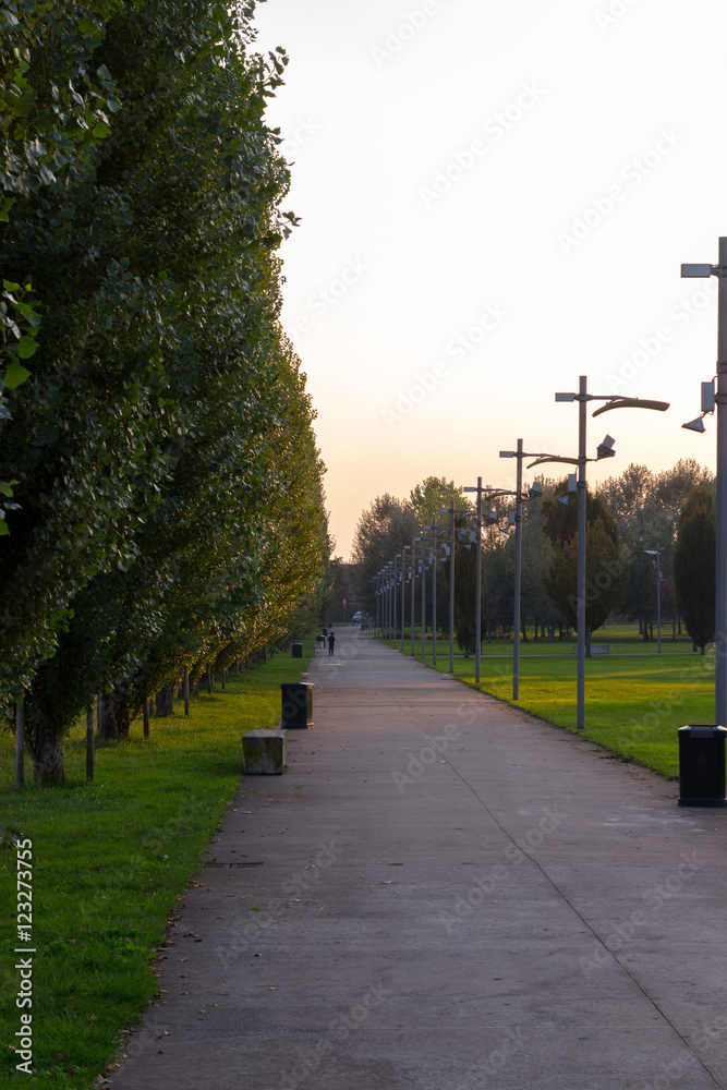 Trail in Milan park at sunset