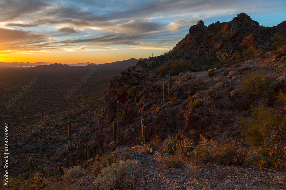 Arizona Desert Landscapes