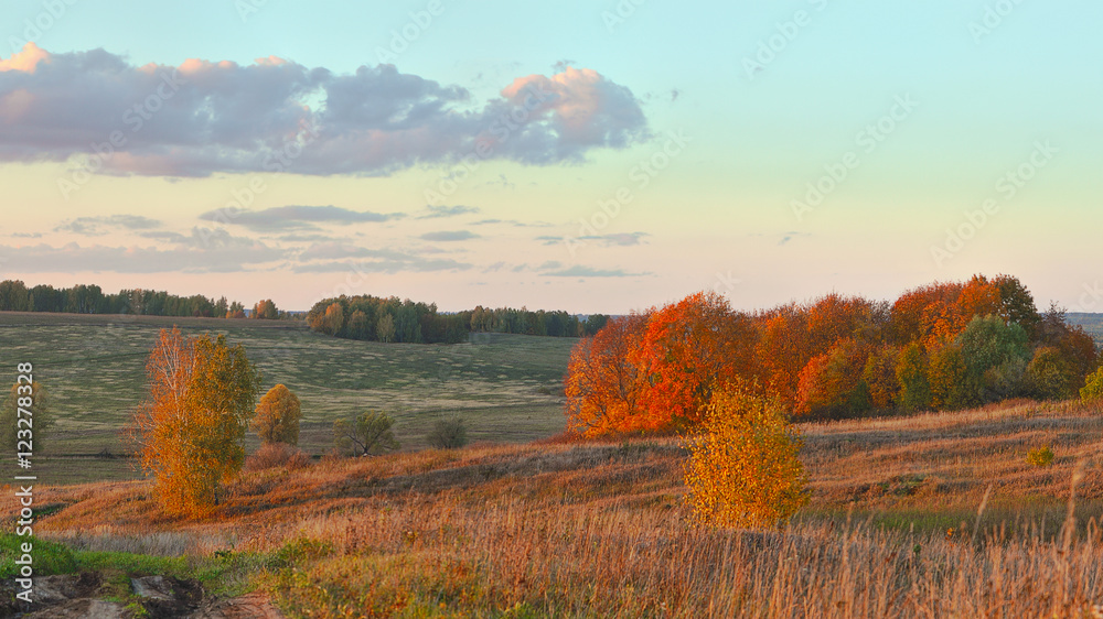Fototapeta premium autumn beautiful panoramic rural landscape