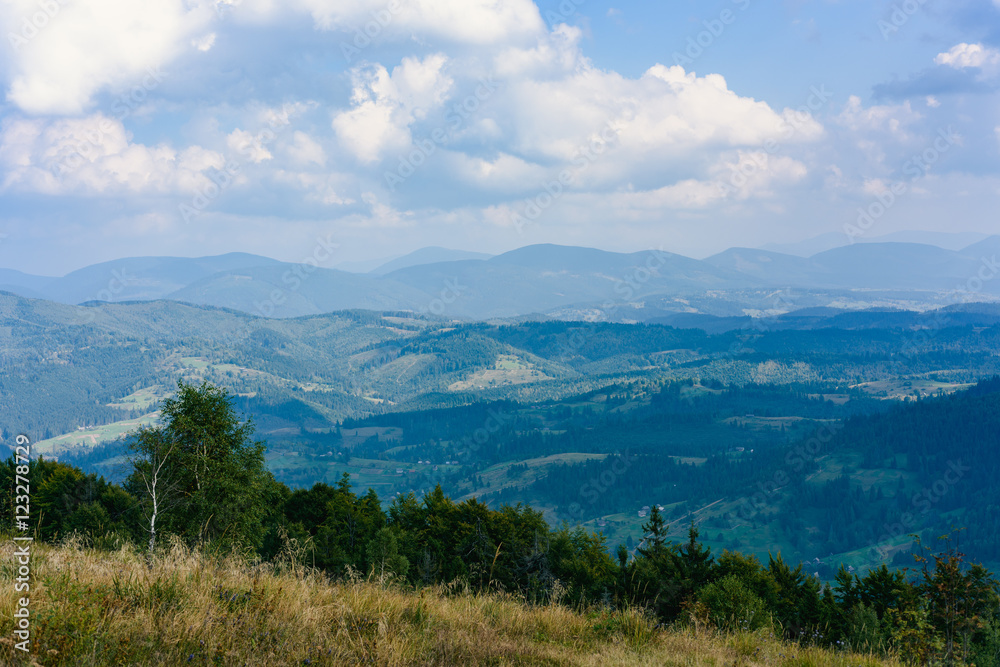 Carpathian Mountains in Summer. Beautiful nature landscape with mountains, trees and blue sky with clouds