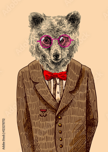 Bear in jacket