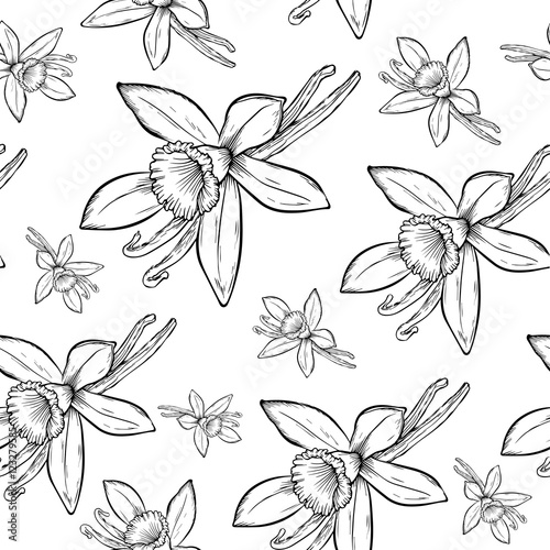 Vanilla pods and flower_ pattern