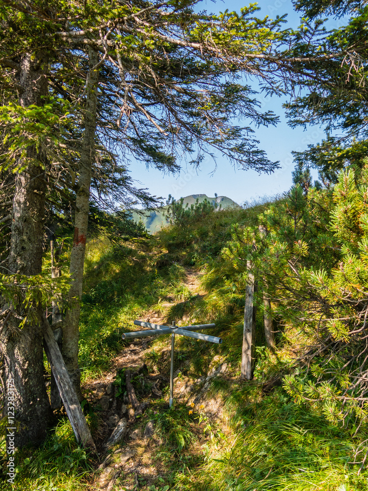 Wanderpfad aus dem Achental durch den Sommerwald Richtung Hochgerngipfel in den Chiemgauer Alpen Wanderpfad aus dem Achental durch den Sommerwald Richtung Hochgerngipfel in den Chiemgauer Alpen