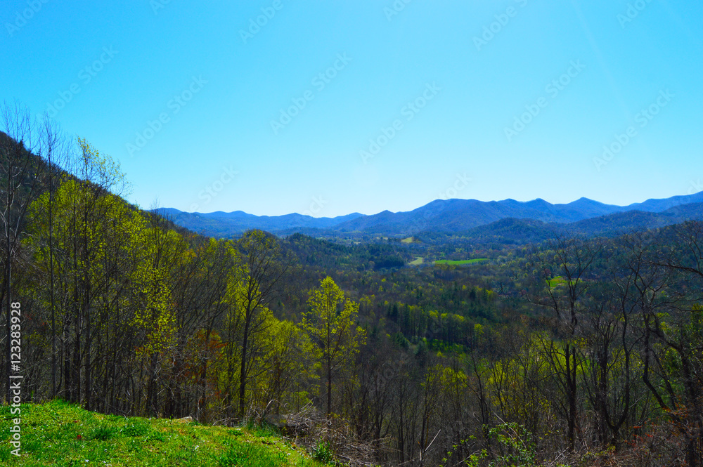 View of mountains with trees and blue sky View of mountains with trees and blue sky