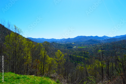View of mountains with trees and blue sky
