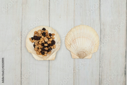 sea shell as bowl for snacks