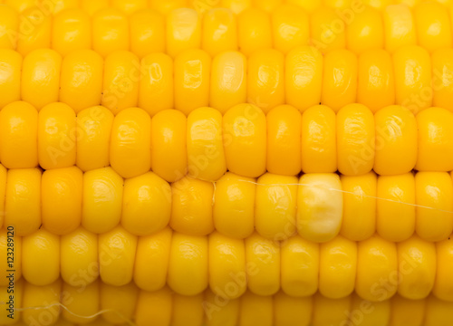 yellow corn as a background. macro photo