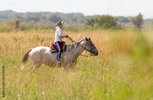 Boy on a horse on nature