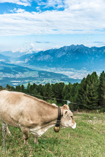 Patscherkofel peak near Innsbruck, Tyrol, Austria. © Anibal Trejo