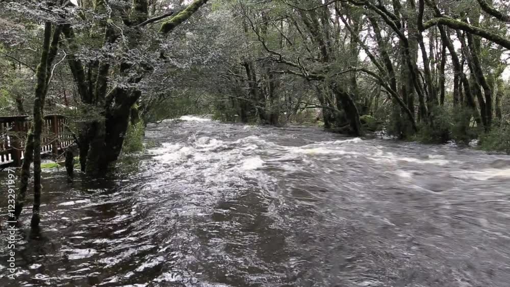 Fast-flowing river at Cradle Mountain, Tasmania, Australia