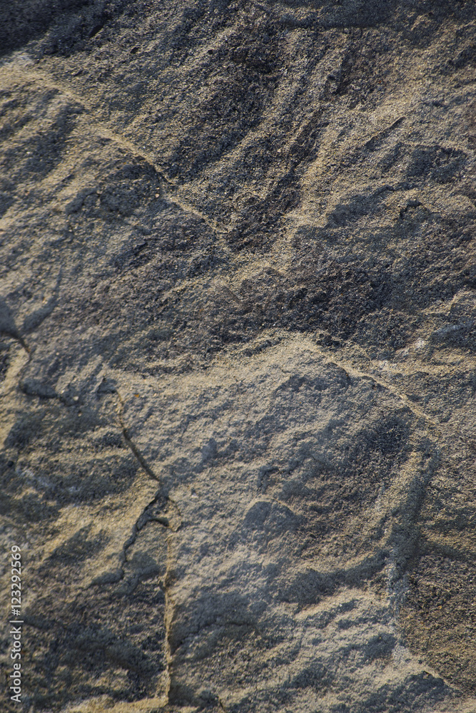 Naklejka premium stone surface