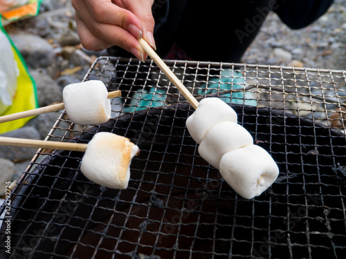 Enjoy BBQ and roasted fire marshmallows