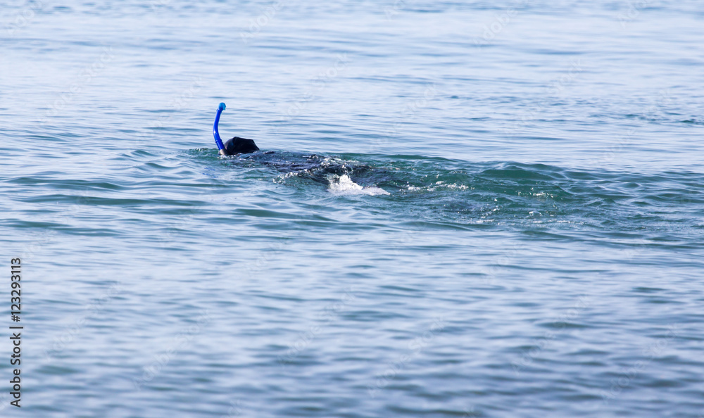 Fototapeta premium diver on the lake