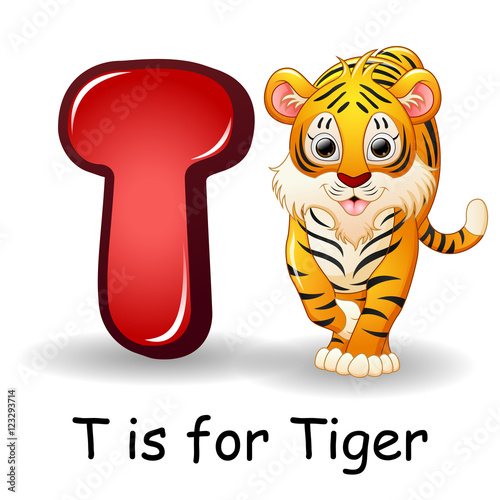 Fototapeta Naklejka Na Ścianę i Meble -  Animals alphabet: T is for Tiger 
