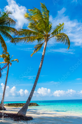Beautiful tropical Maldives island  white sandy beach and sea  w