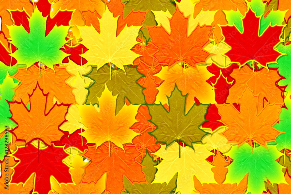 colorful fall leaves background colorful fall leaves background