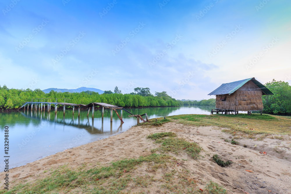 Reed cottage and Old broken bridge in mangrove forest