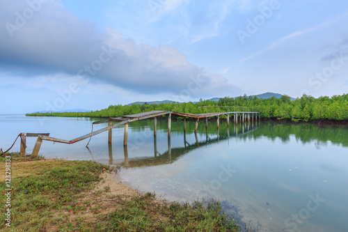Old broken bridge in mangrove forest