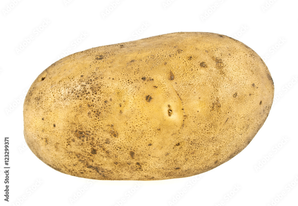 Potato on a white background Potato on a white background