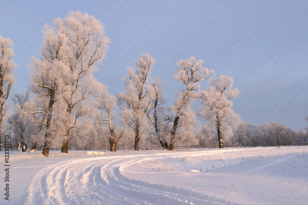 Obraz premium winter day