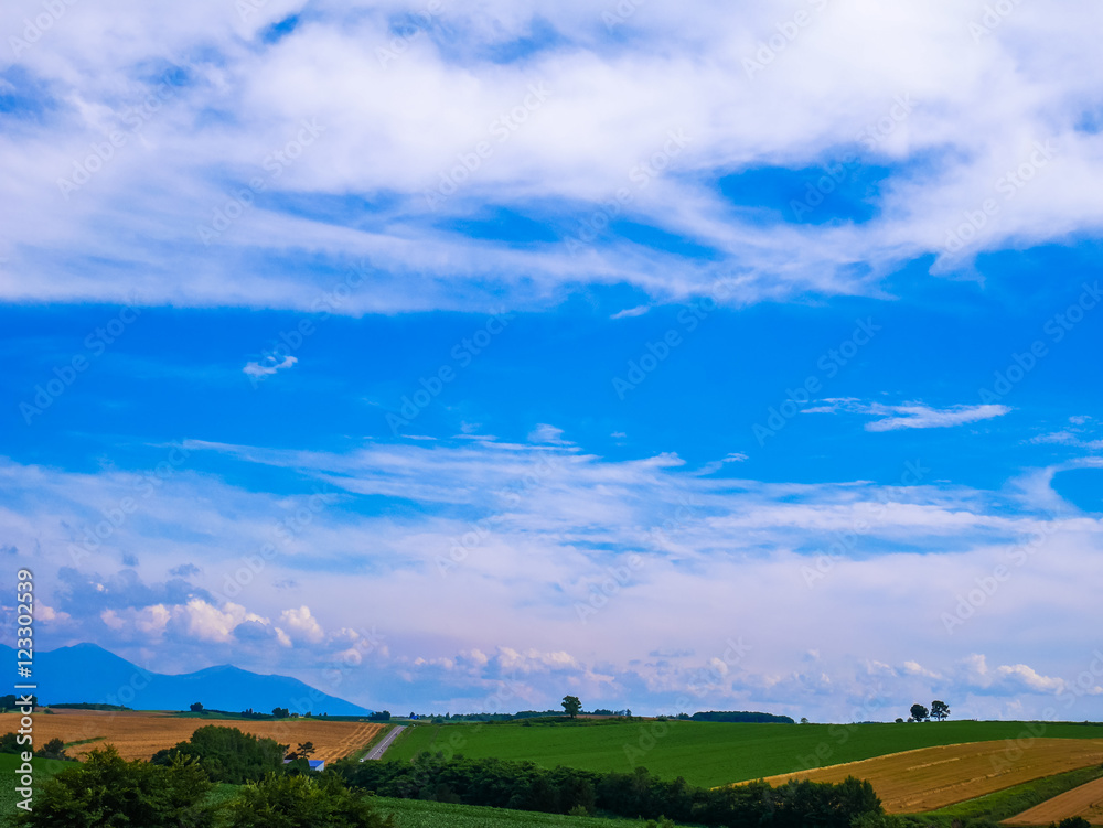 Obraz premium 北海道 美瑛町